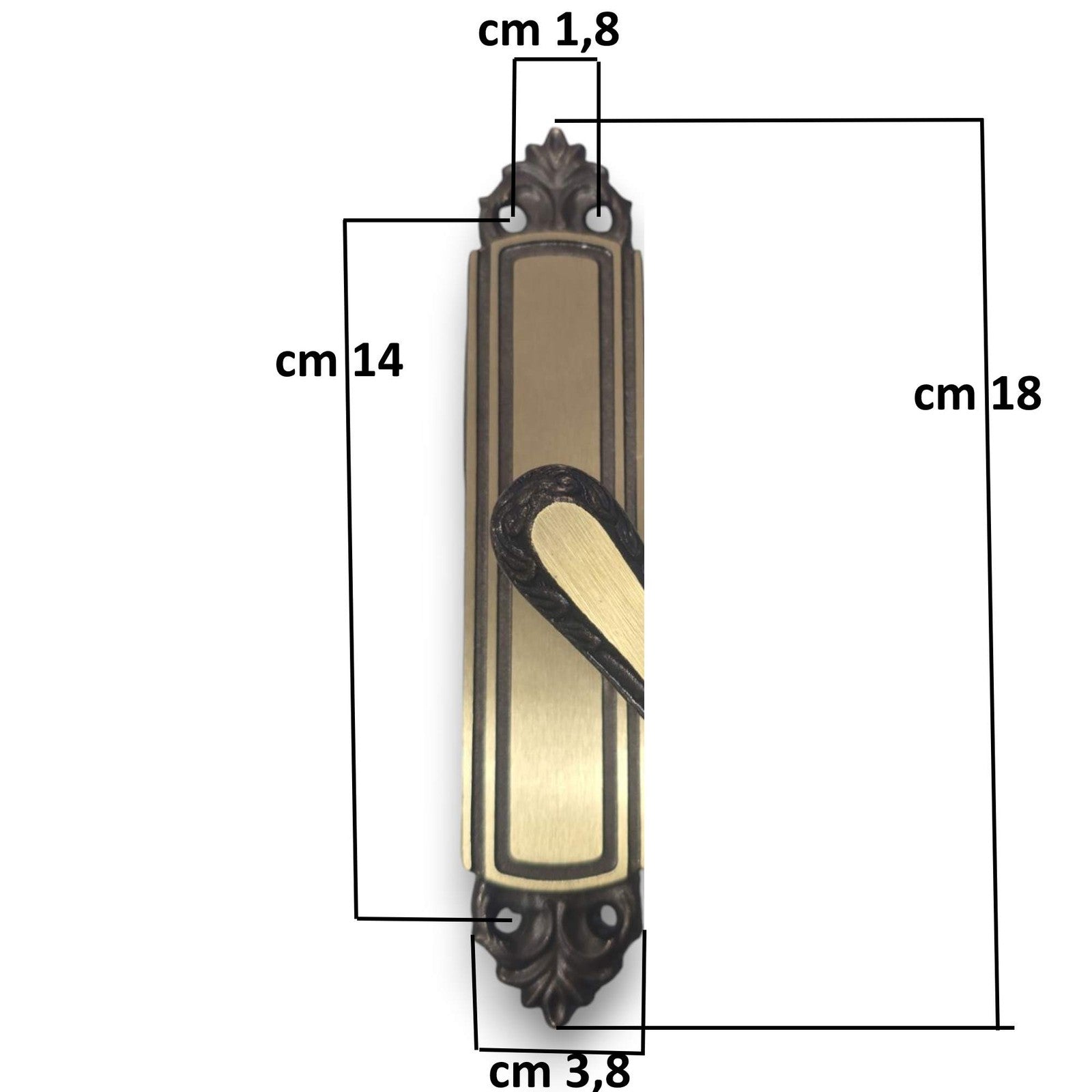 20116066